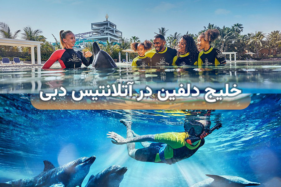 خلیج-دلفین-در-آتلانتیس-دبی.jpg